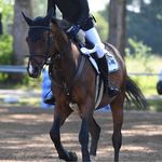 Felix Baumann - @felixb0809 - Instagram