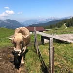 Felix Baumgartner - @baumgartner9806 - Instagram