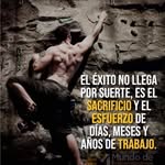 Felix Becerril - @felizbecerril - Instagram