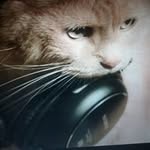 Felix Becerril - @febeza6068 - Instagram