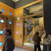 felix.beckers - @felix.beckers - TikTok