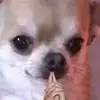 BenderFelix - @benderfelix - TikTok