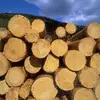 felixbender481 - @felixbender481 - TikTok
