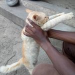 Felix Bentil - @bentil_felix - Instagram