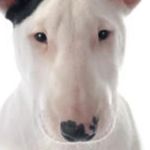 Felix Blank - @felix_blank6 - Instagram