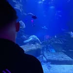 Felix - @felix.bloomfield - Instagram