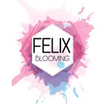 ᖴᗴᒪI᙭ ᗷᒪOOᗰIᑎᘜ 🌸 - @felix_blooming - Instagram