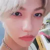 will - @felixblooms - TikTok