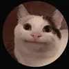 Felix Haydon bonner - @felix.haydon.bonn - TikTok