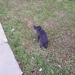 @felix_boyd - Instagram