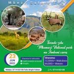 Felix Bright - @mbezi_safari - Instagram