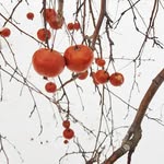 Felix Bui - @felixbui4 - Instagram