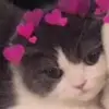 FelixBui - @felixlovey3333 - TikTok