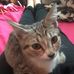 Felix Byrd - Facebook