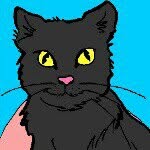 @felix.cat_ - Instagram