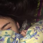 Felix - @__felix.cat - Instagram