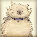 Felix 🐱🐾 - @felix_cat___ - Instagram