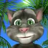 Félix cat - @flix.cat - TikTok