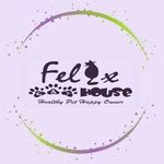 Felix Cat House & Petshop - @felix.cathouse - Instagram