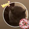FelixCat - @felixcat274 - TikTok