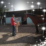 Felix Cedillo - @felix.cedillo.589 - Instagram
