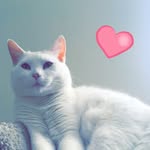 Felix Clay - @fancyfelix_ - Instagram