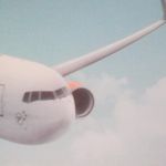Felix Connor - @felix_airline - Instagram