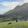 Felix - @felix_cooley - TikTok