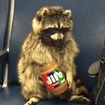 Felix Cooper - @felix_cooper2005 - Instagram