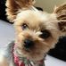Felix Cooper - Facebook