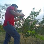 Felix Corn - @felix_cornelio - Instagram