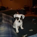 Felix Cottrell - Facebook