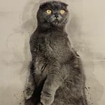 Felix von der Couch - @felix_von_der_couch - Instagram