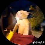 Felix Cox - @felix.cox.549 - Instagram