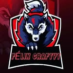 Félix Craftyt - @felix_craft_yt - Instagram