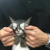 Felix Dangerous - @felix.dangerous - TikTok