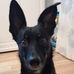 Felix Day - Facebook