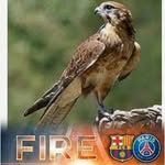 Felix Falcon - @felix.falcon.756 - Instagram