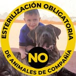 Felix Falcón Perez - @felixfalconperez - Instagram