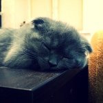 Felix Goodman - @felixtsgoodik - Instagram