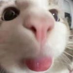 Felix - @felix_grace_ - Instagram