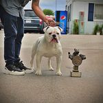 Felix Guzman - @underdog_showcasing - Instagram