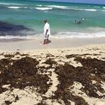 Felix Howard - @felix.howard - Instagram