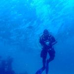 Felix Hung - @felixhung518 - Instagram