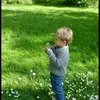 Felix - @felixhunterrr - TikTok