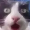 Felix - @felixlikessyrup - TikTok