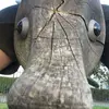 Felix - @felix_ingram106 - TikTok