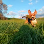 Felix Jacobs - @felix597490 - Instagram