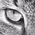 Felix Jacobs - @felix_der_schreiner - Instagram