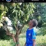 Felix Jacobs - @felixjacobs314 - Instagram